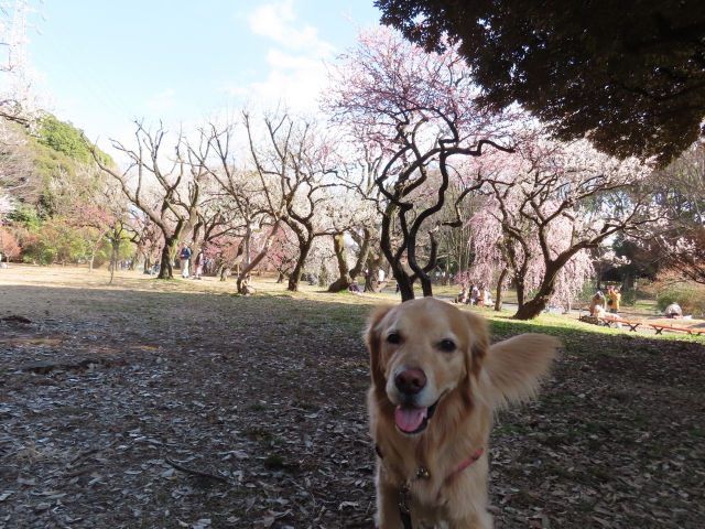 ファイル 8493-5.jpg