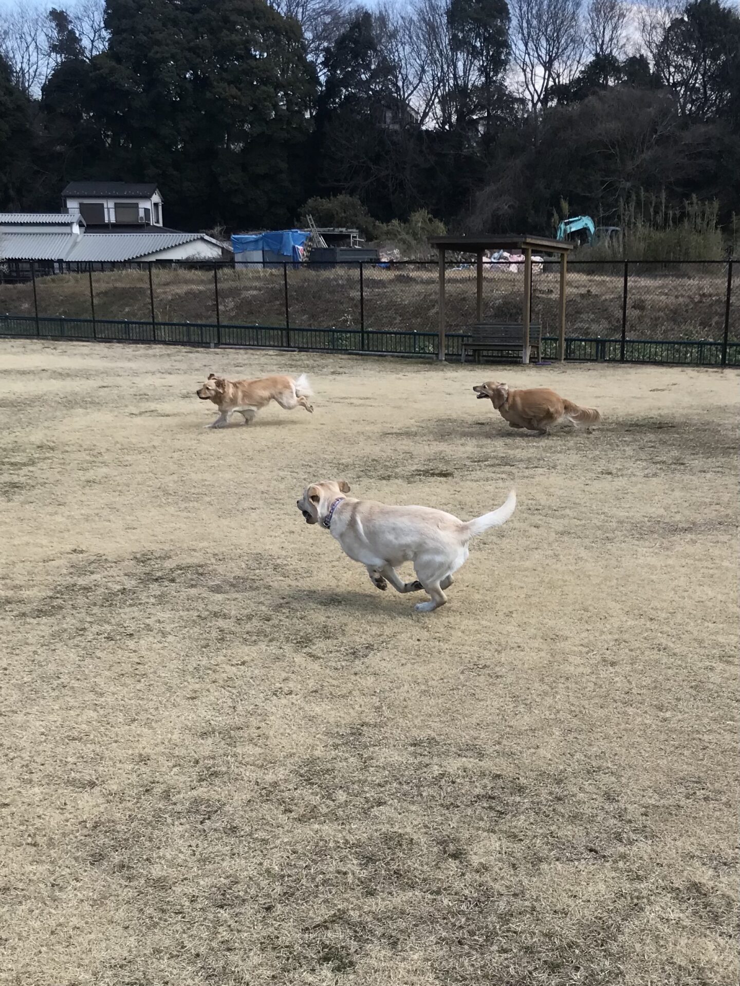 ファイル 8494-1.jpeg