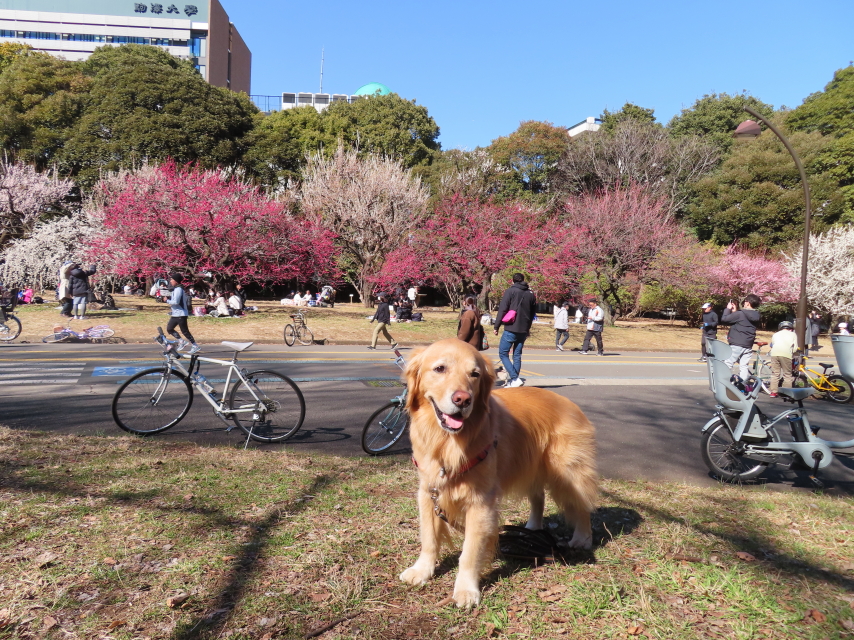 ファイル 8496-1.jpg