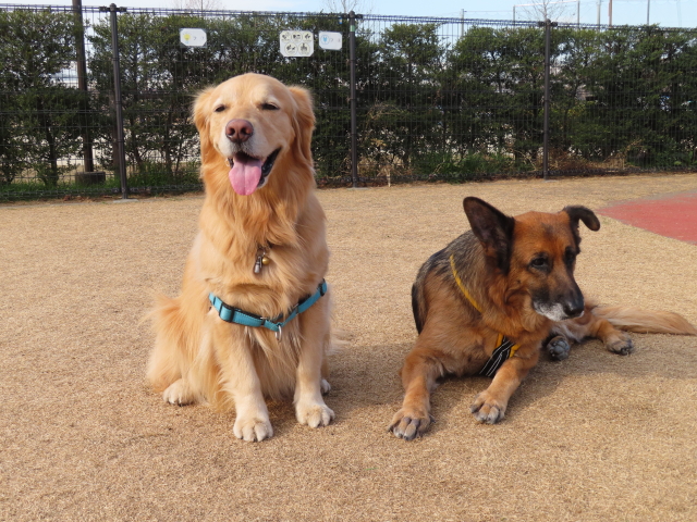 ファイル 8498-1.jpg