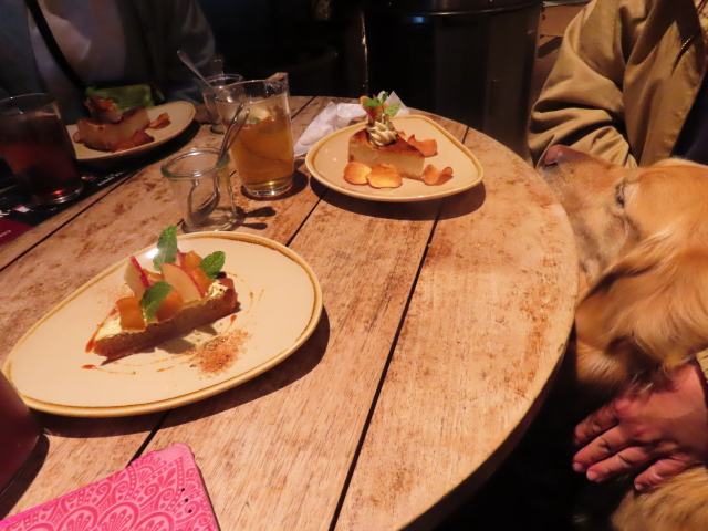 ファイル 8498-5.jpg