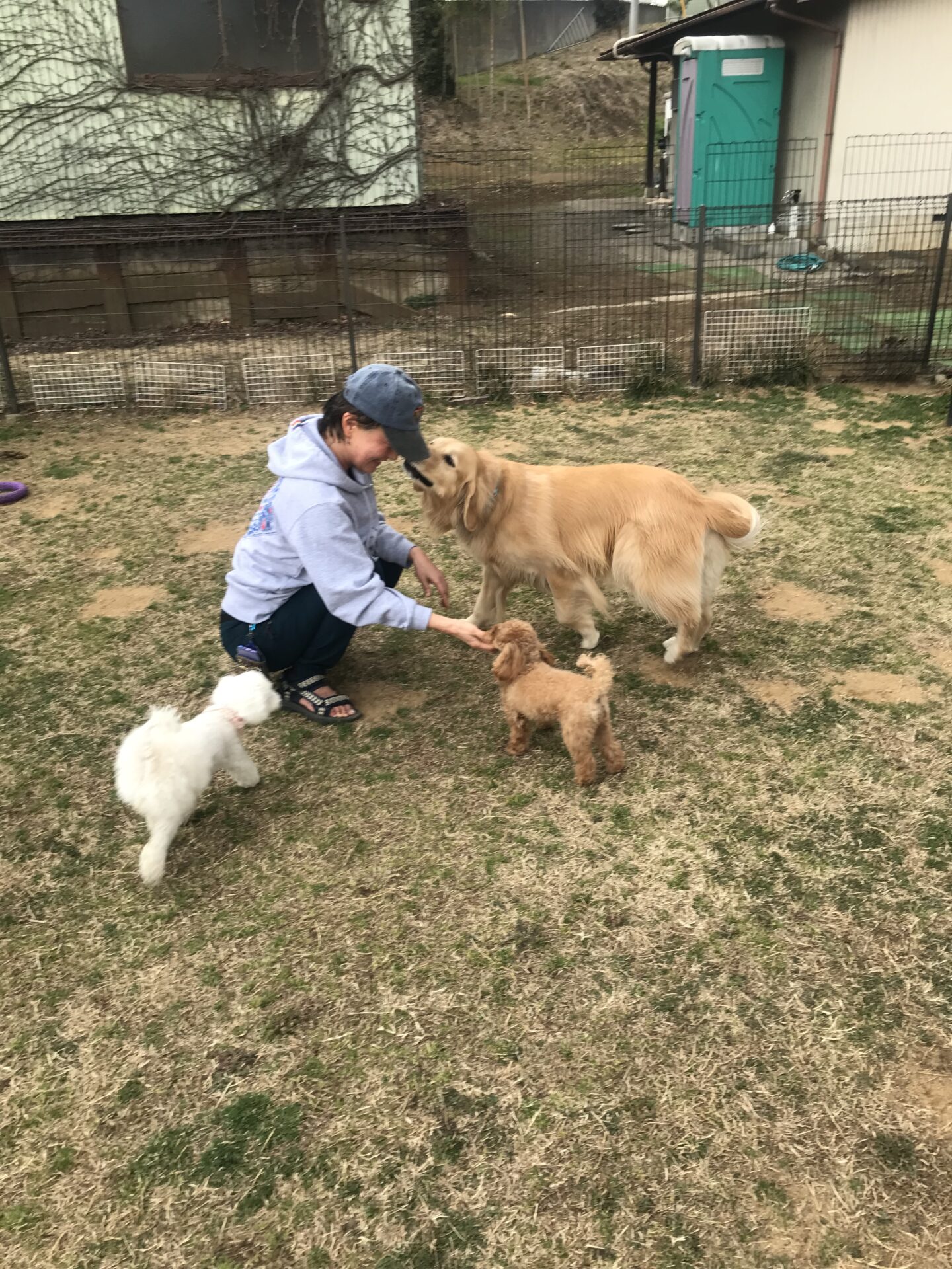 ファイル 8499-5.jpeg