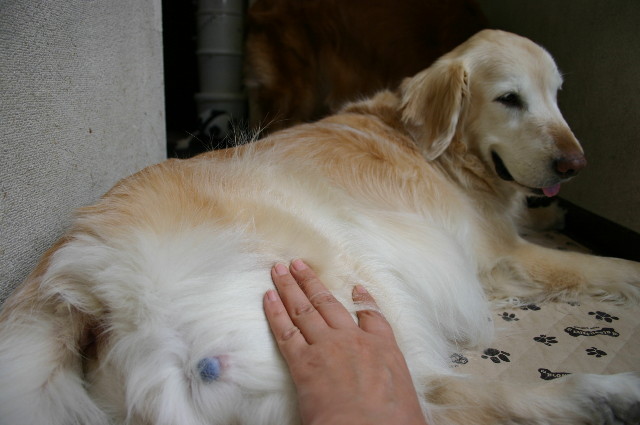 ファイル 850-3.jpg