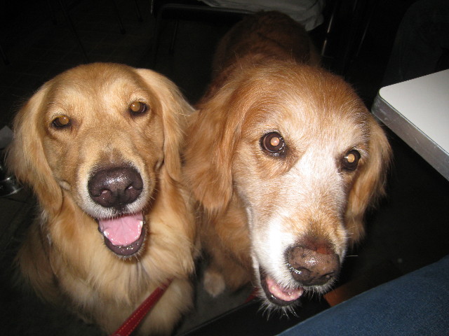 ファイル 850-5.jpg