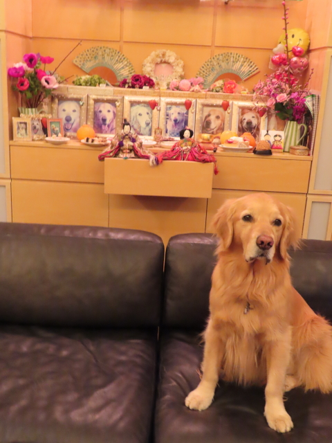 ファイル 8500-1.jpg