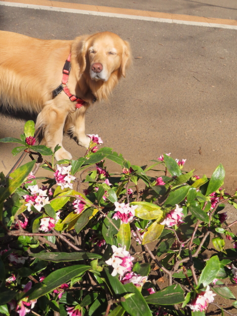 ファイル 8502-2.jpg