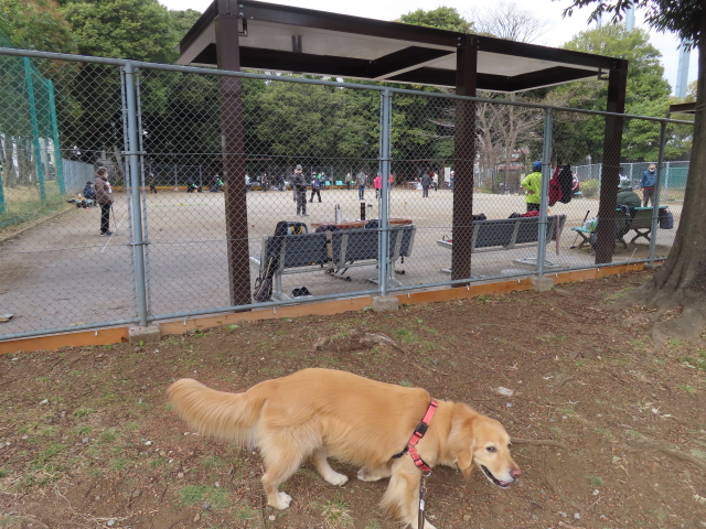 ファイル 8502-5.jpg