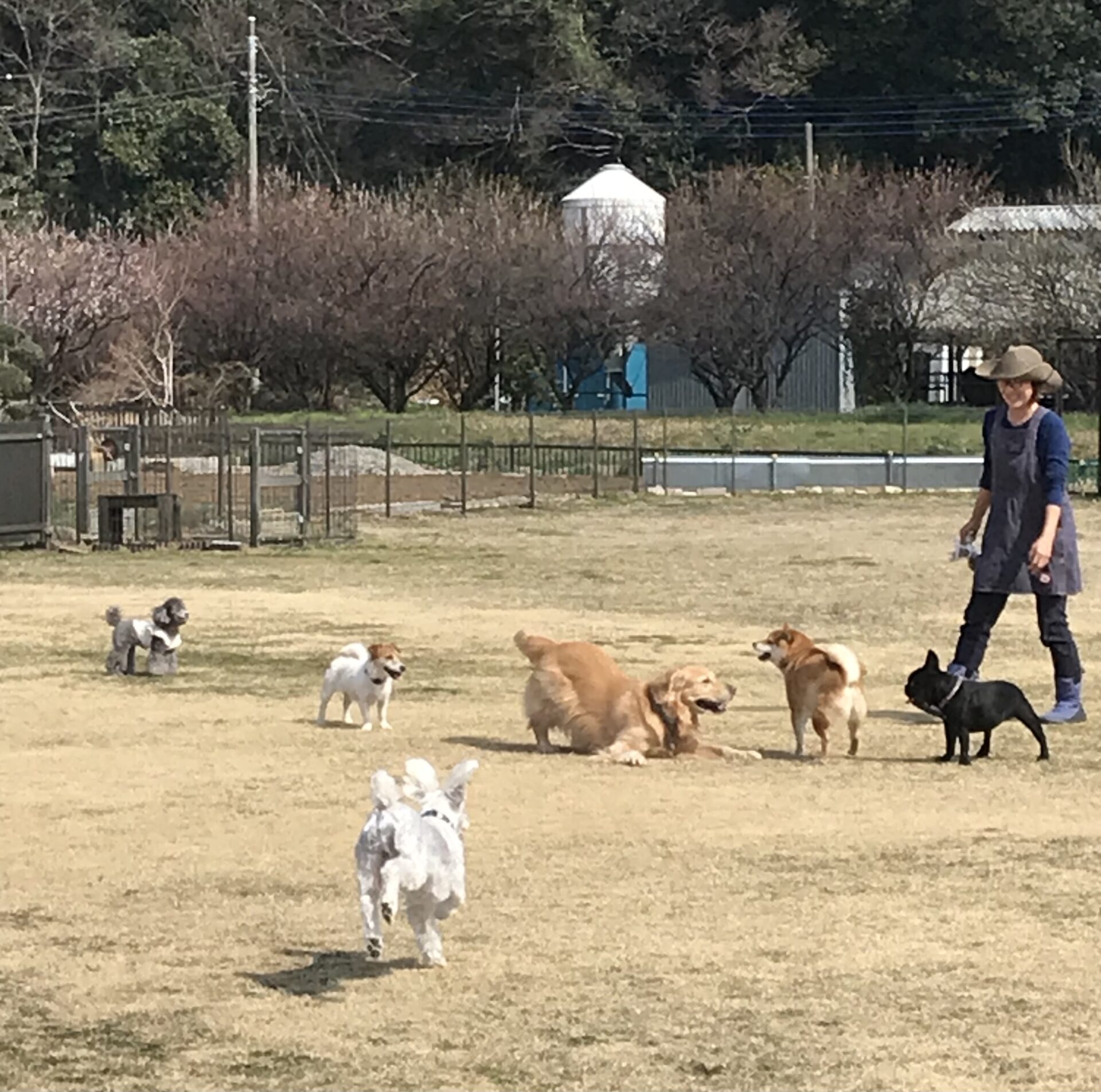 ファイル 8503-1.jpeg