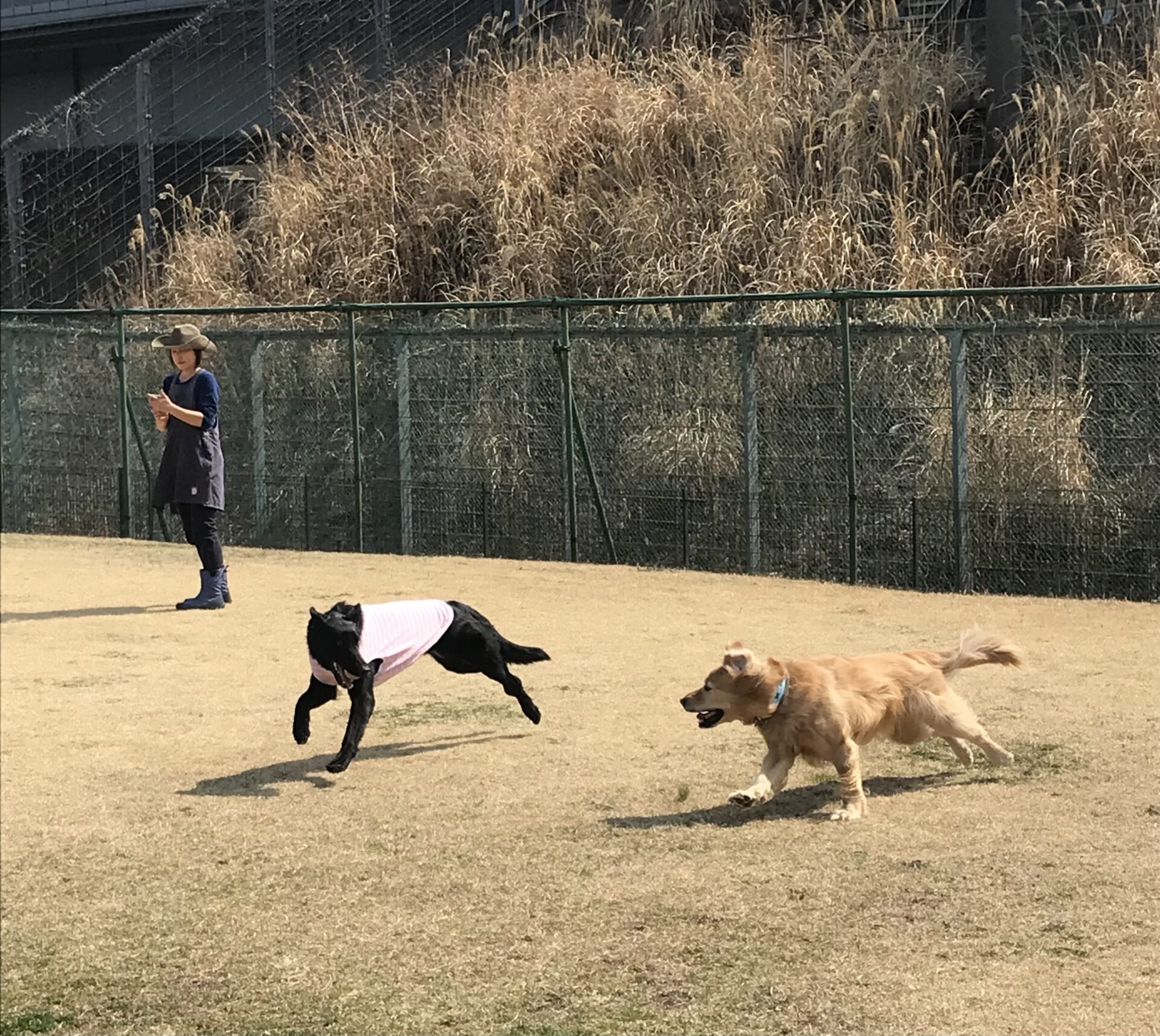 ファイル 8503-2.jpeg