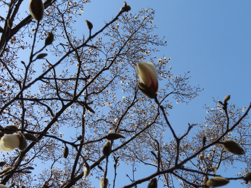 ファイル 8508-2.jpg