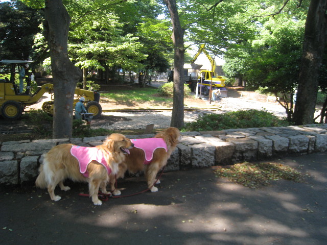 ファイル 851-3.jpg