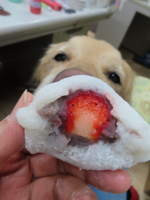 ファイル 8510-4.jpg