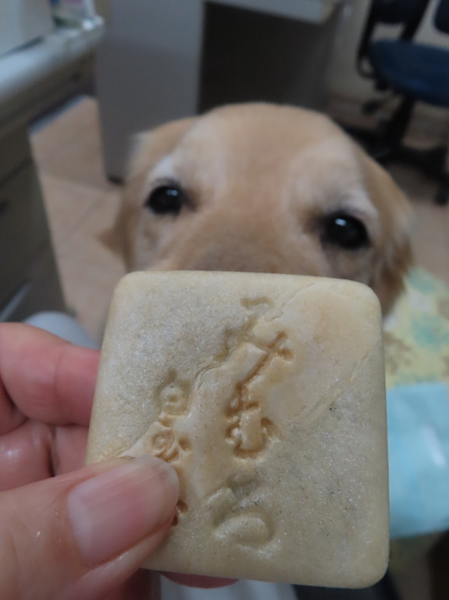 ファイル 8510-5.jpg