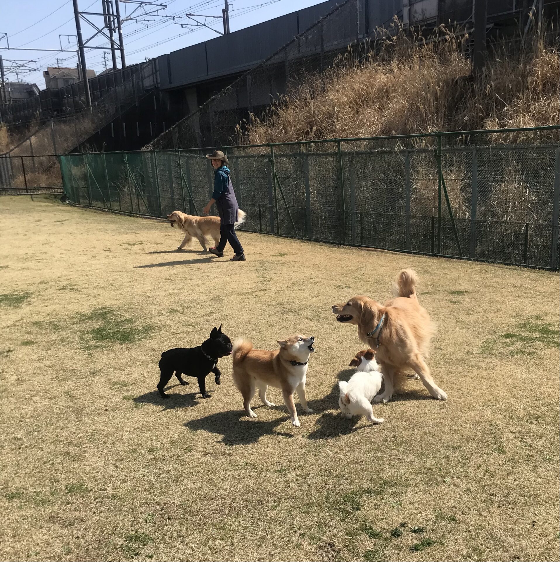 ファイル 8511-1.jpeg