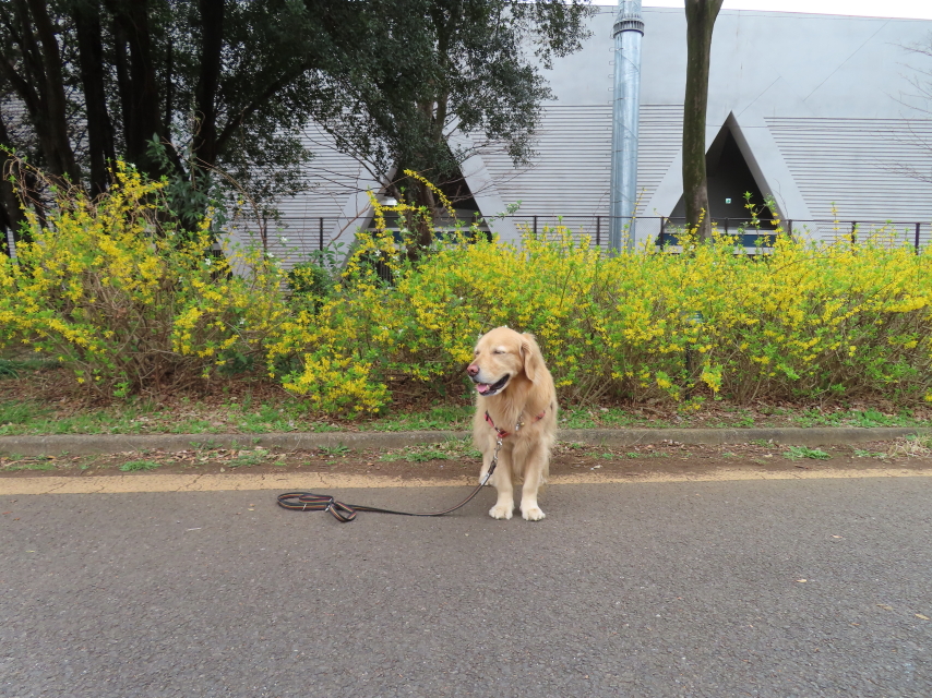 ファイル 8513-2.jpg