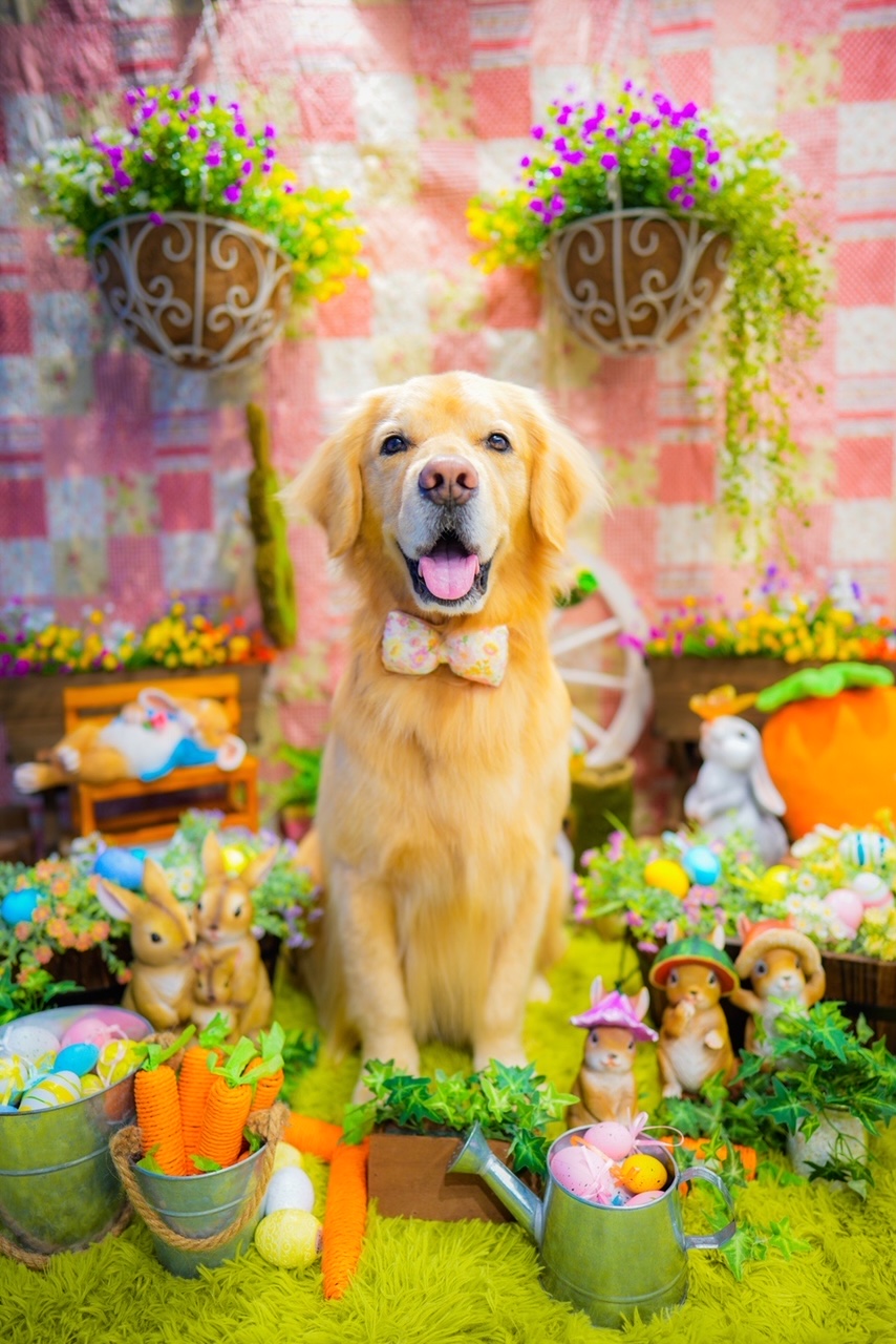 ファイル 8513-4.jpg