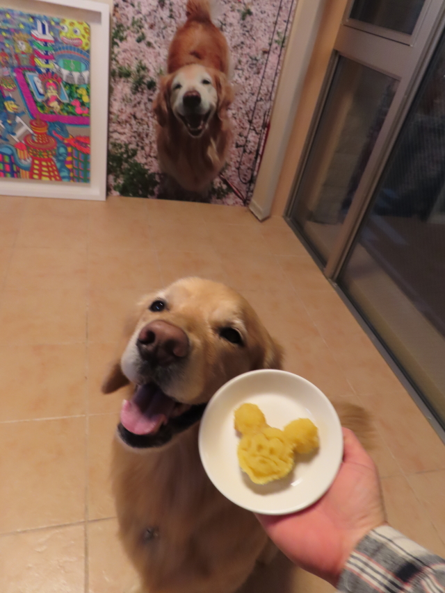 ファイル 8513-5.jpg