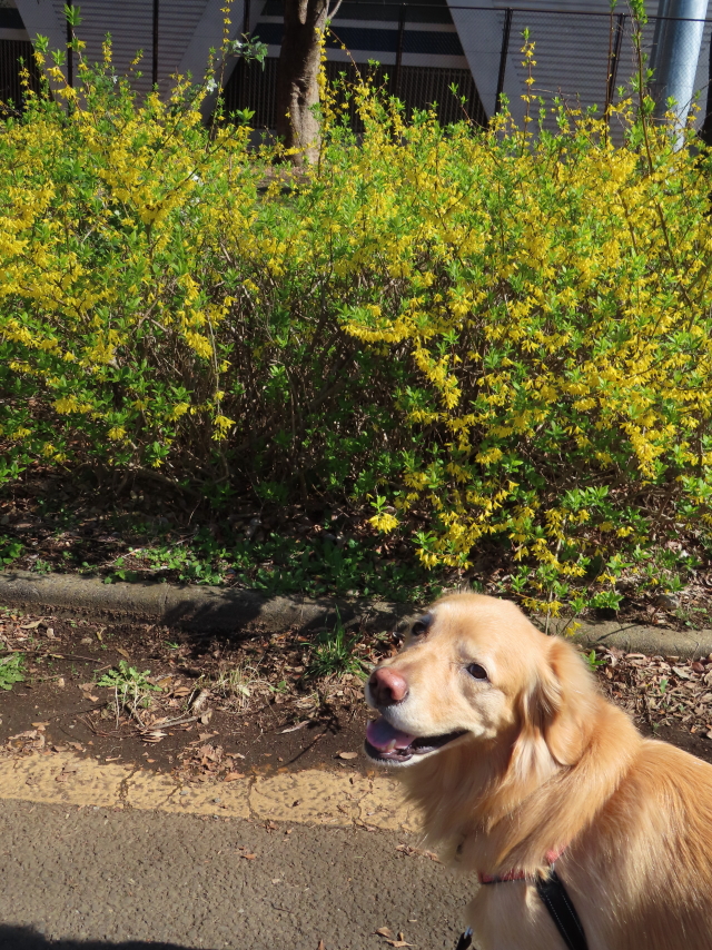 ファイル 8514-4.jpg