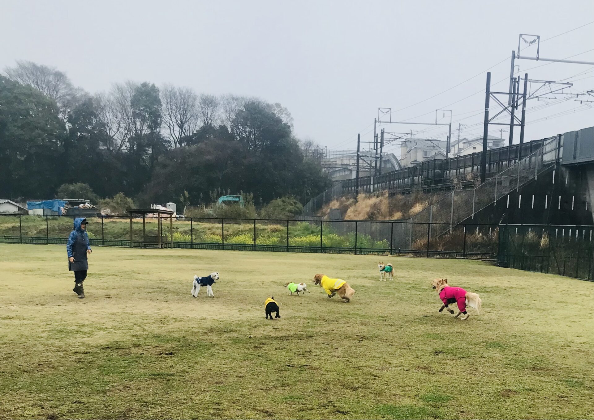 ファイル 8516-4.jpeg