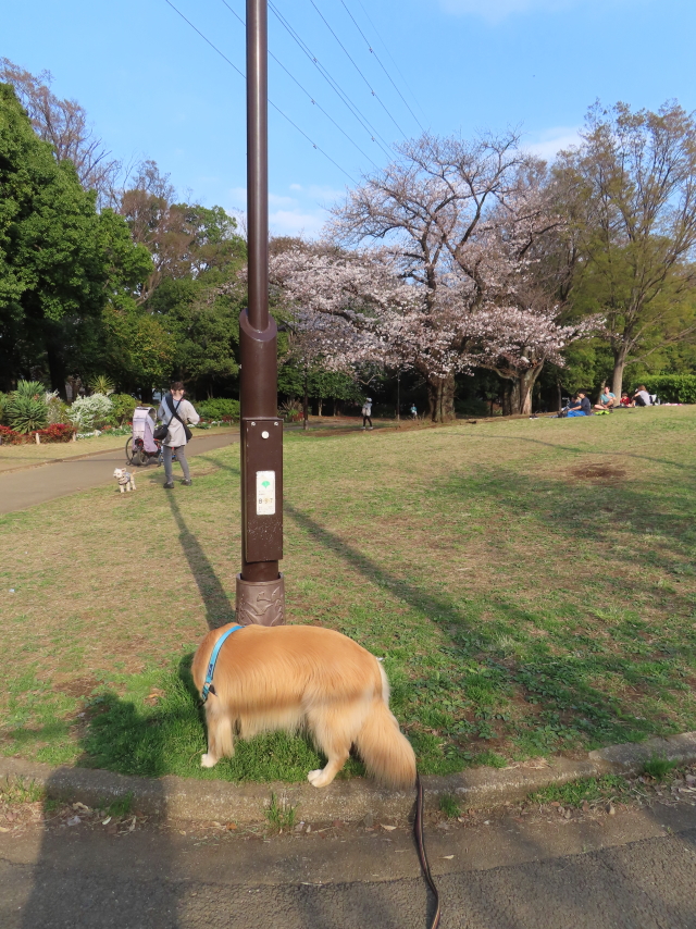 ファイル 8517-4.jpg