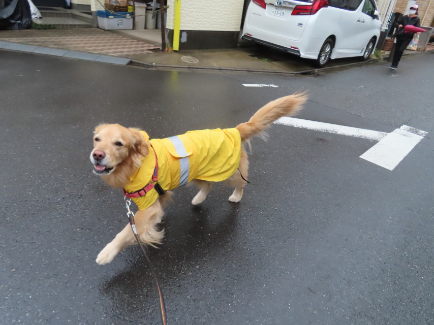 ファイル 8518-2.jpg