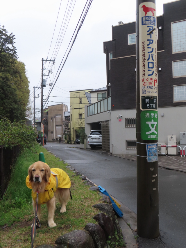 ファイル 8518-4.jpg