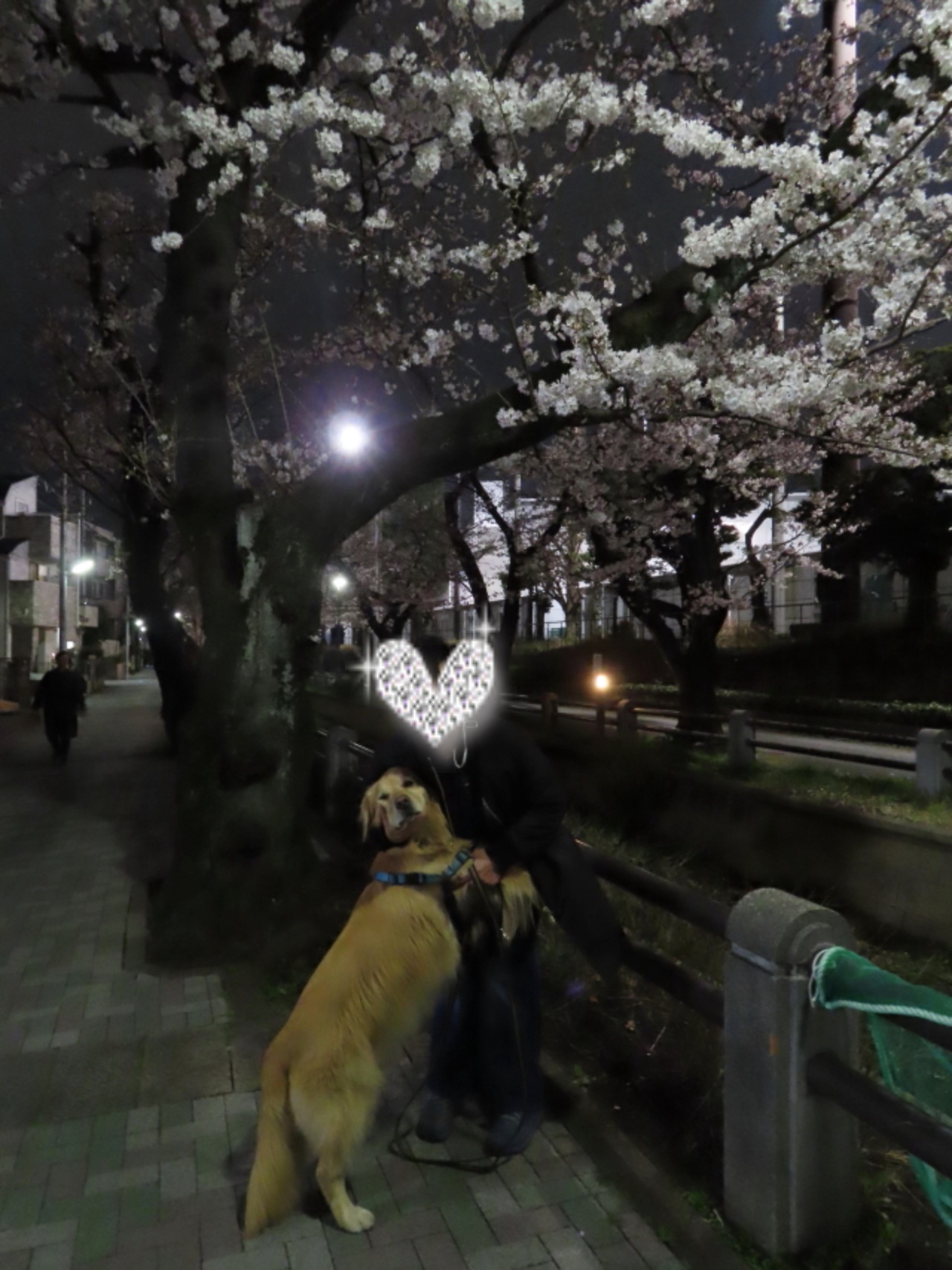 ファイル 8519-5.jpg