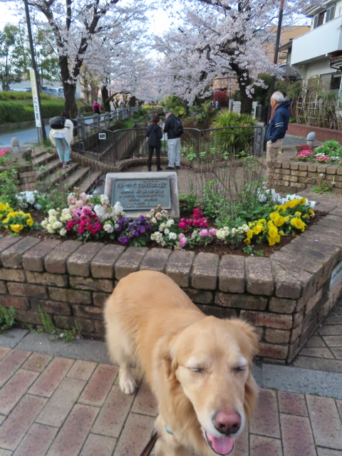 ファイル 8523-5.jpg