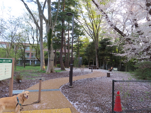 ファイル 8524-3.jpg