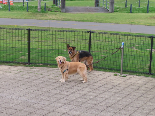 ファイル 8525-2.jpg