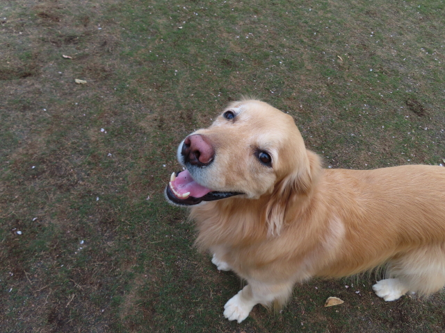 ファイル 8525-5.jpg