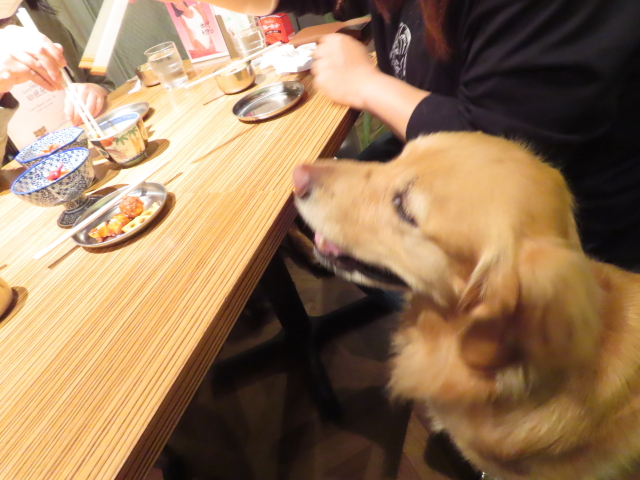 ファイル 8528-3.jpg