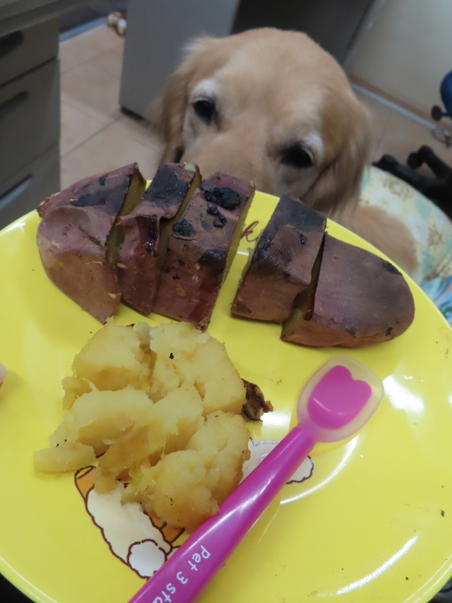 ファイル 8531-5.jpg