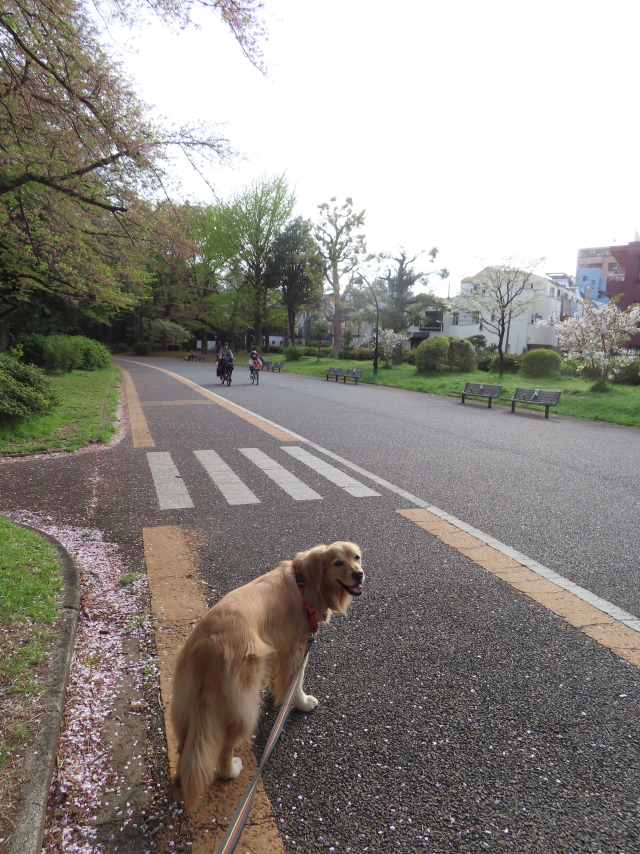 ファイル 8532-3.jpg