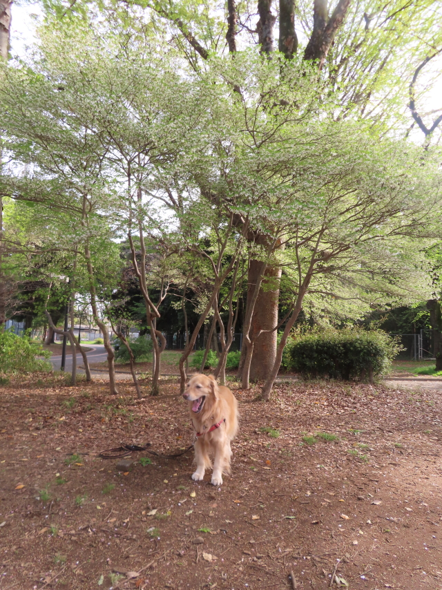 ファイル 8532-4.jpg