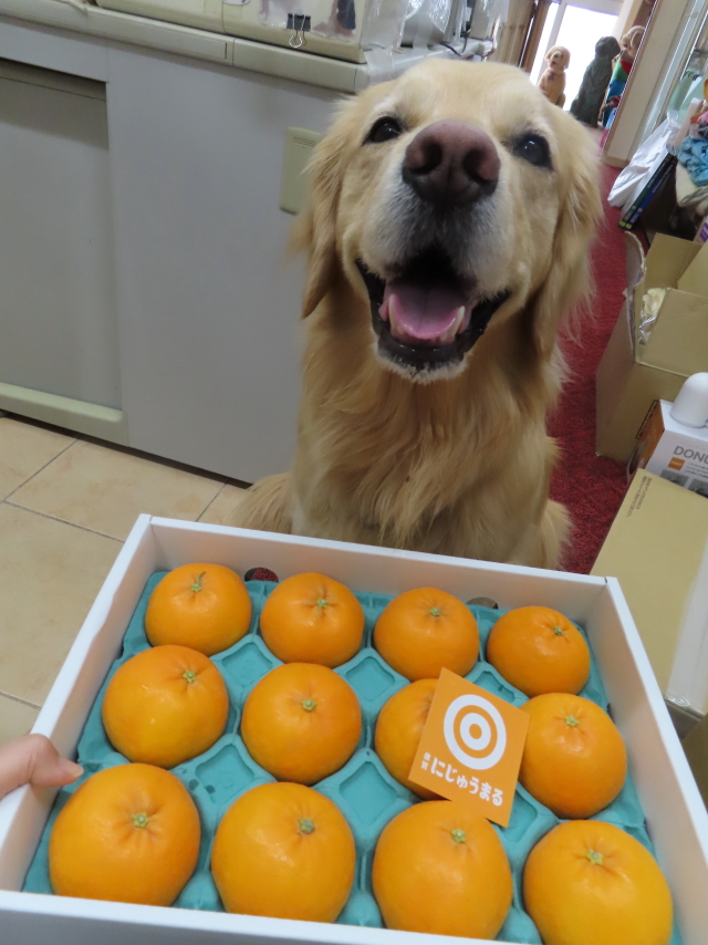 ファイル 8532-5.jpg