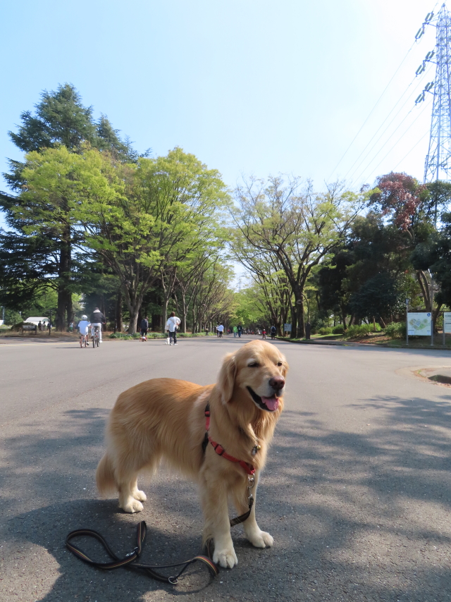 ファイル 8533-1.jpg