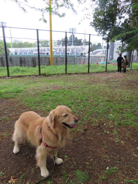 ファイル 8538-2.jpg