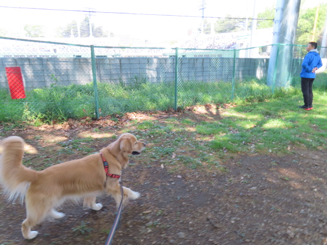 ファイル 8538-3.jpg