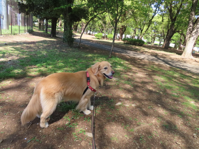 ファイル 8538-5.jpg