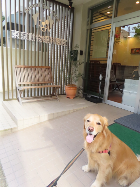 ファイル 8539-1.jpg