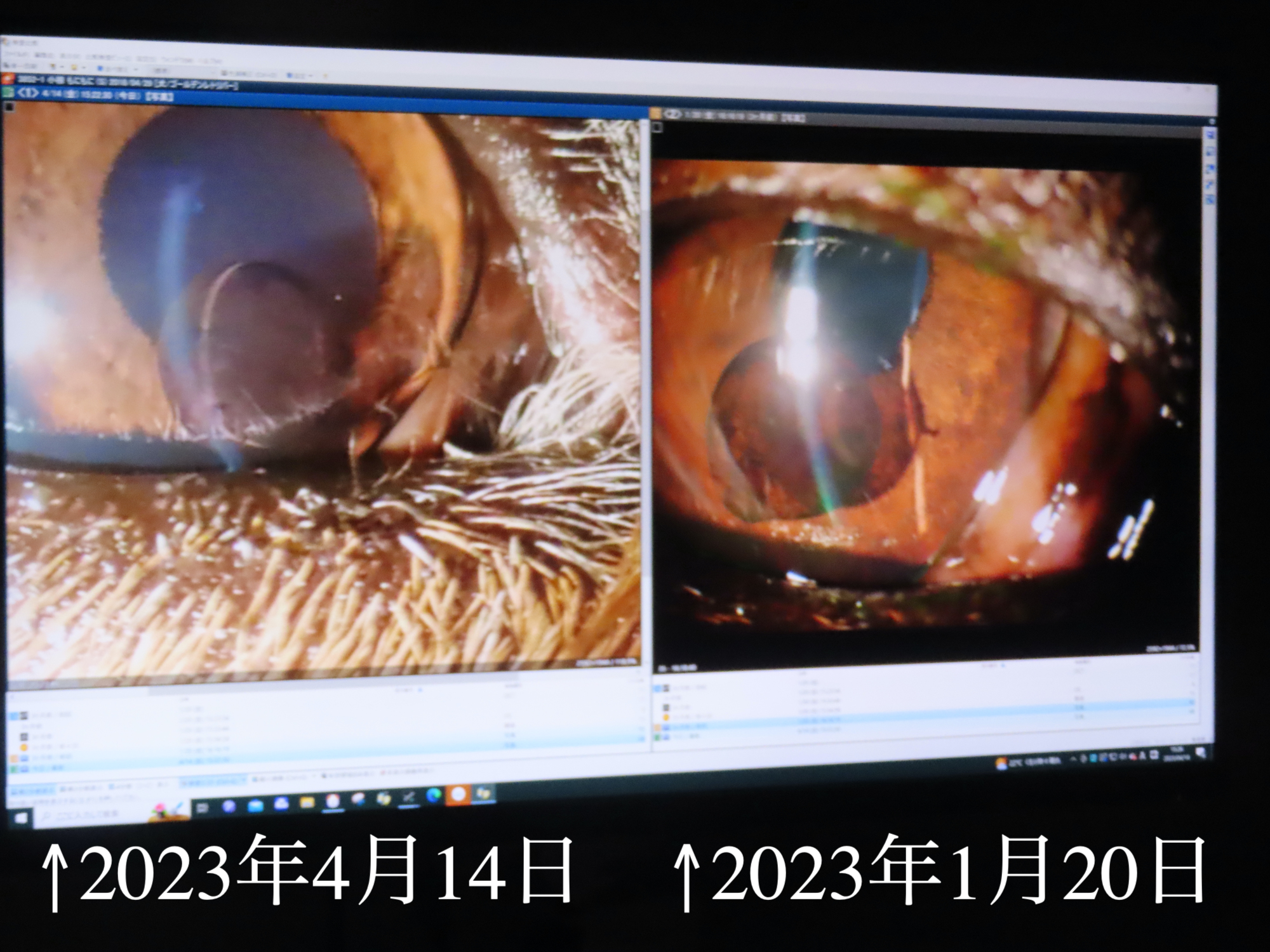 ファイル 8539-2.jpg