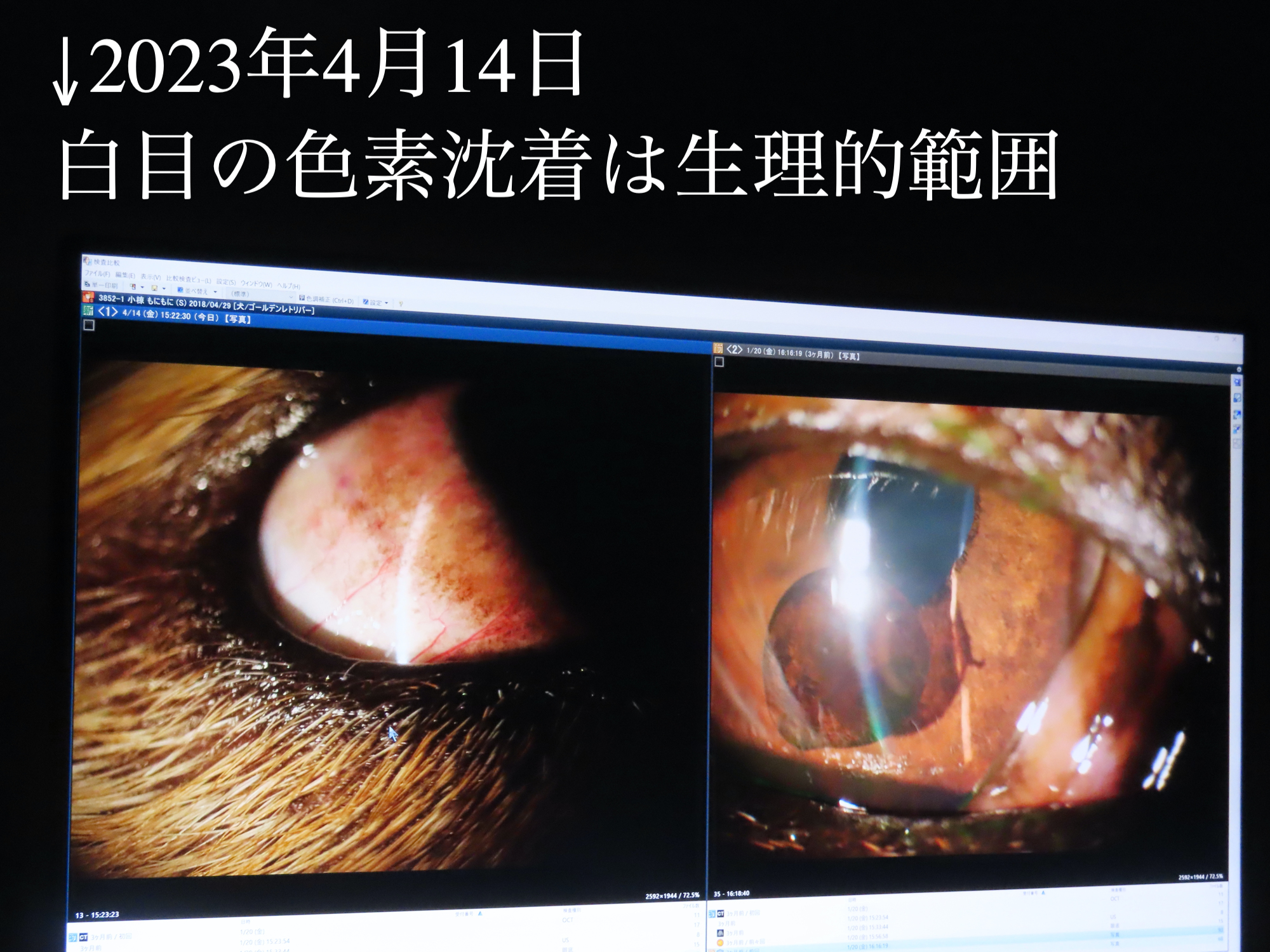 ファイル 8539-4.jpg