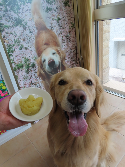 ファイル 8539-5.jpg