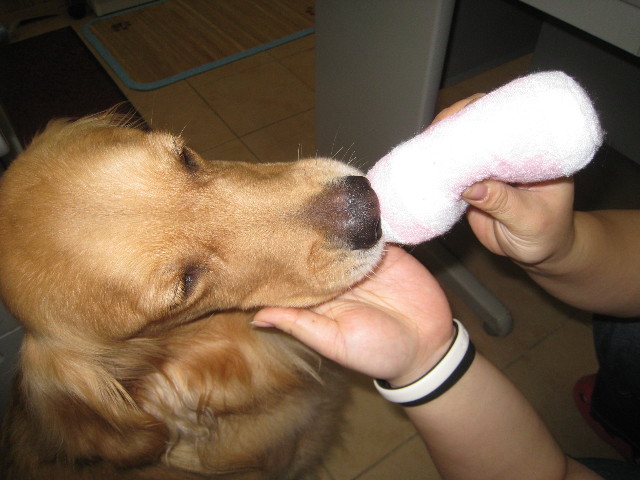 ファイル 854-1.jpg