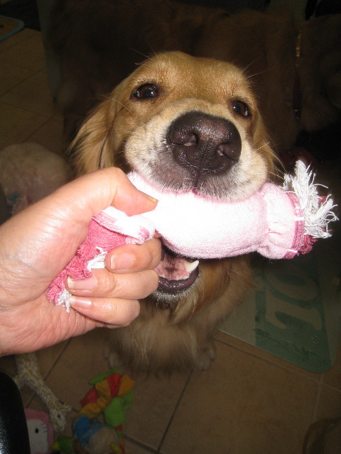 ファイル 854-2.jpg