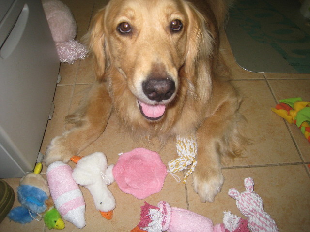 ファイル 854-3.jpg