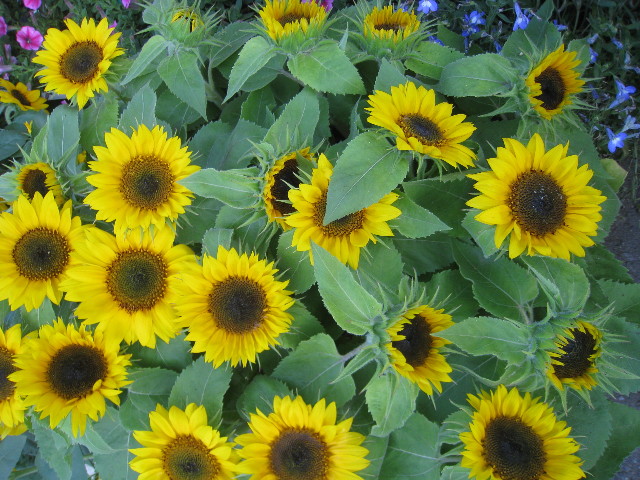 ファイル 854-5.jpg