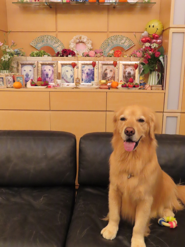 ファイル 8541-2.jpg