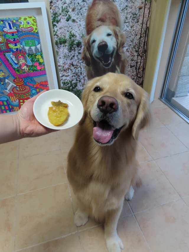 ファイル 8541-5.jpg